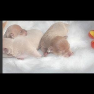 Meet your Posher, Alicia